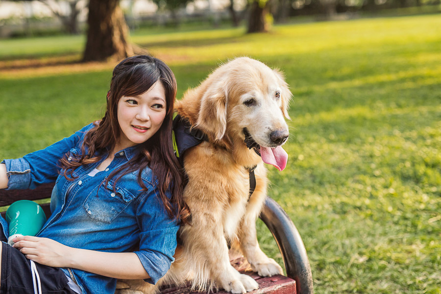 寵物寫真,寵物攝影,狗狗攝影,黃金獵犬寫真,女攝影師