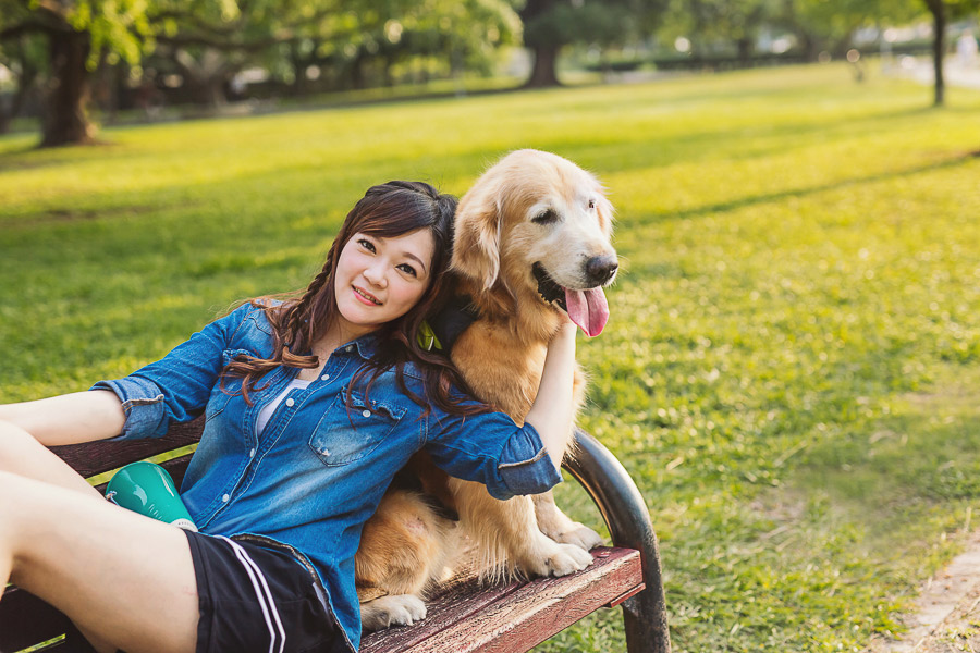 寵物寫真,寵物攝影,狗狗攝影,黃金獵犬寫真,女攝影師