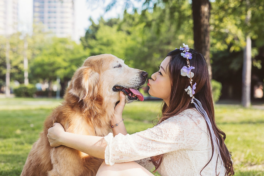 寵物寫真,寵物攝影,狗狗攝影,黃金獵犬寫真,女攝影師