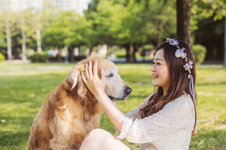 寵物寫真,寵物攝影,狗狗攝影,黃金獵犬寫真,女攝影師