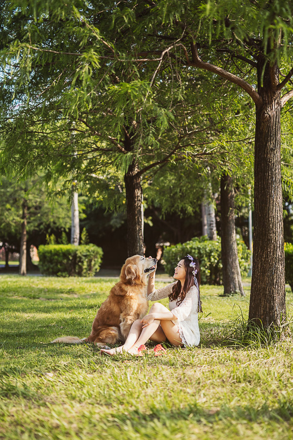 寵物寫真,寵物攝影,狗狗攝影,黃金獵犬寫真,女攝影師