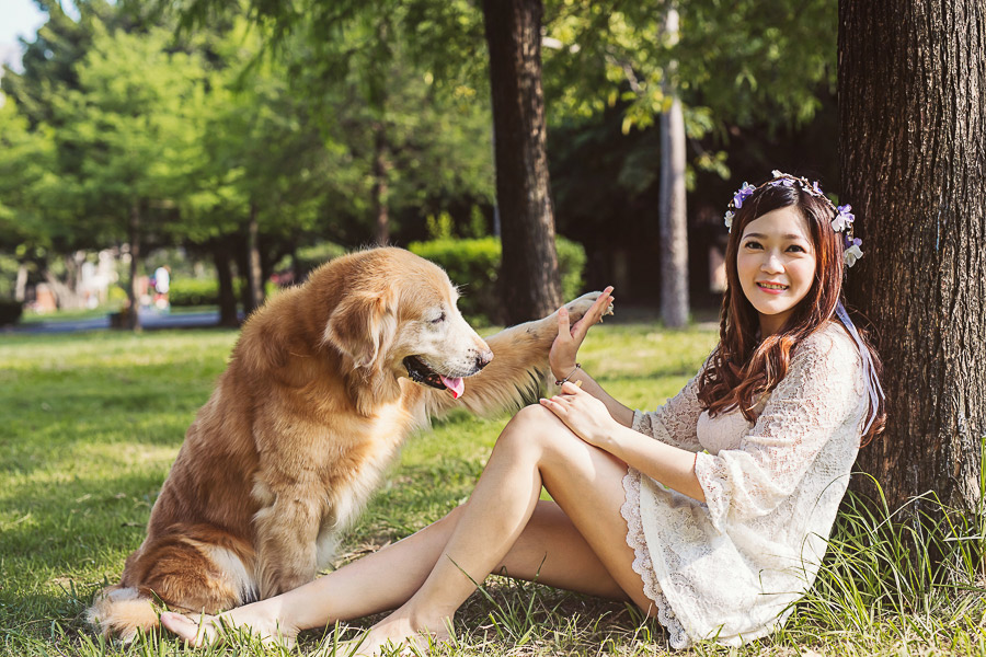 寵物寫真,寵物攝影,狗狗攝影,黃金獵犬寫真,女攝影師