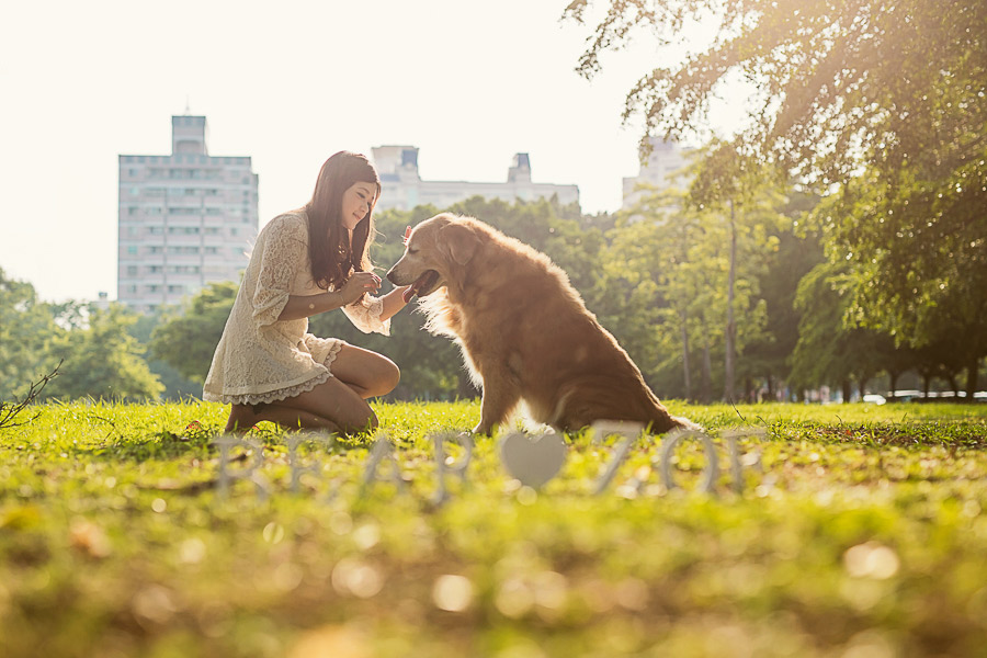 寵物寫真,寵物攝影,狗狗攝影,黃金獵犬寫真,女攝影師