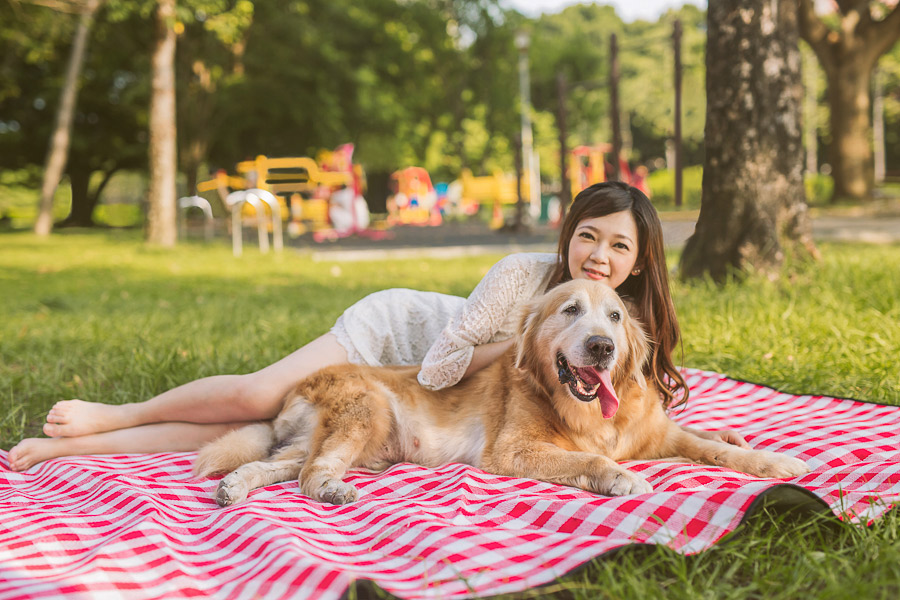 寵物寫真,寵物攝影,狗狗攝影,黃金獵犬寫真,女攝影師