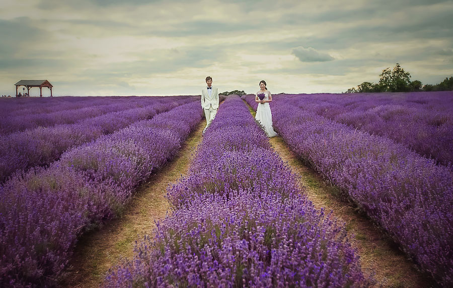 自助婚紗,英國婚紗,倫敦婚紗,海外婚紗,薰衣草婚紗,女攝影師