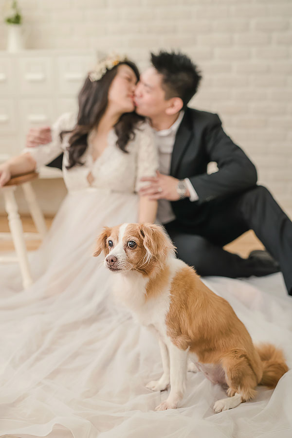 孕婦寫真,台北孕婦寫真,台中孕婦寫真,主播孕婦,女攝影師