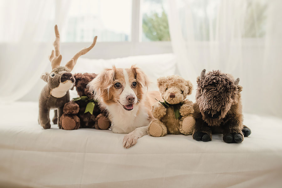 孕婦寫真,台北孕婦寫真,台中孕婦寫真,主播孕婦,女攝影師