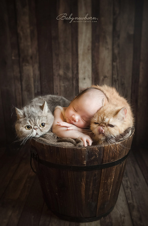 孕婦寫真, 孕婦寫真推薦,台北孕婦寫真,宜蘭孕婦寫真,台中孕婦寫真,孕婦照,新生兒寫真,寶寶寫真,女婚攝推薦,女攝影師, 卡菲小姐, 風雲20攝影師, 孕婦寫真服裝,孕婦寫真週數,孕婦寫真價格,孕婦寫真自助,孕婦禮服,孕婦寫真洋裝,孕婦寫真造型,孕婦寫真價位,台北親子寫真,親子寫真,親子寫真推薦,親子寫真服裝,親子寫真價格,親子寫真氣球,家庭寫真,全家福,兒童寫真推薦,兒童寫真台北,親子照,抓週寫真,生日派對寫真,新生兒寫真價格,新生兒寫真到府,新生兒寫真方案,寫真攝影棚,,藝人孕婦寫真,楊千霈孕婦照,安以軒孕婦照,Janet孕婦寫真,Angelababy孕婦寫真,寶寶寫真主題,新生兒寫真主題,昆凌孕婦照,Ms. kaffi 卡菲小姐,newborn Photos,pregnancy photo,family photography,部落客寶寶寫真,台北寶寶寫真,部落客新生兒寫真,台北新生兒寫真