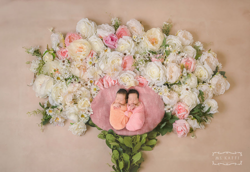 你是我的花朵