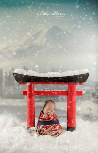 雪中鳥居